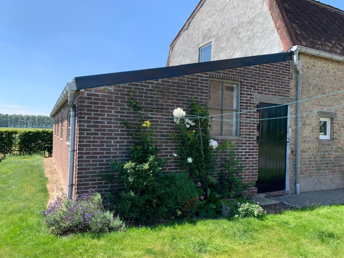Vakantie-Woning Vila Sint Kruis Exterior foto